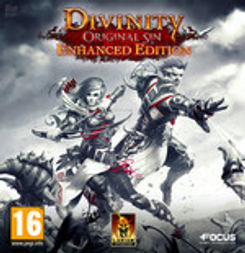 Divinity: Original Sin