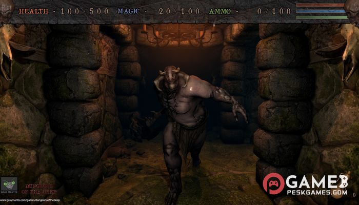 Descargar Dungeons of the Deep Completo Activado Gratis