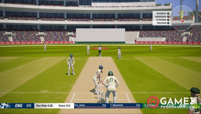 下载 Cricket 19 免费完整激活版