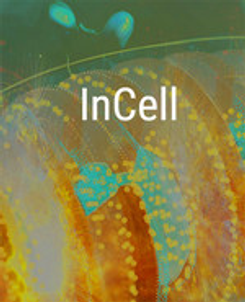 InCell / InCell VR