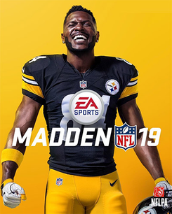 Madden NFL 19: Hall of Fame Edition