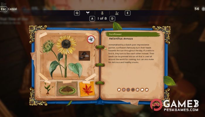 Descargar Garden Life: A Cozy Simulator Completo Activado Gratis