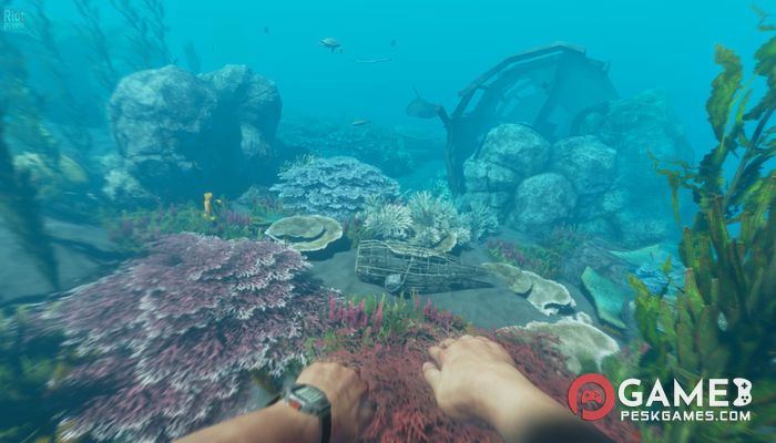 下载 Stranded Deep 免费完整激活版