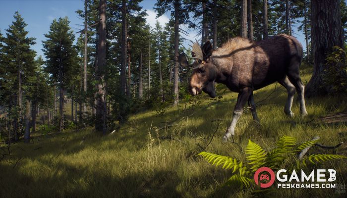 Descargar Way of the Hunter: Ultimate Edition Completo Activado Gratis