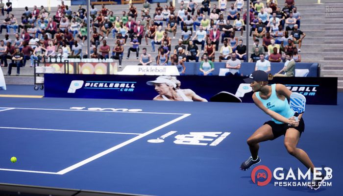 下载 PPA Pickleball Tour 2025 免费完整激活版