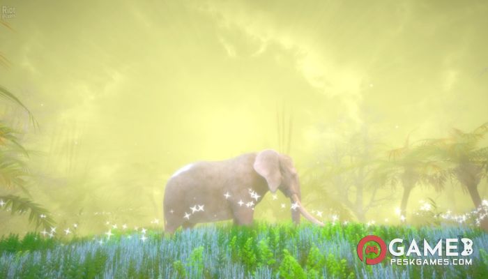 Hidden Treasures in the Forest of Dreams 完全アクティベート版を無料でダウンロード