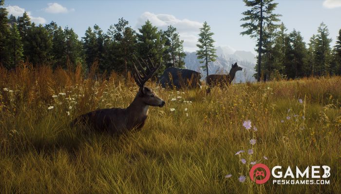 Descargar Way of the Hunter: Ultimate Edition Completo Activado Gratis