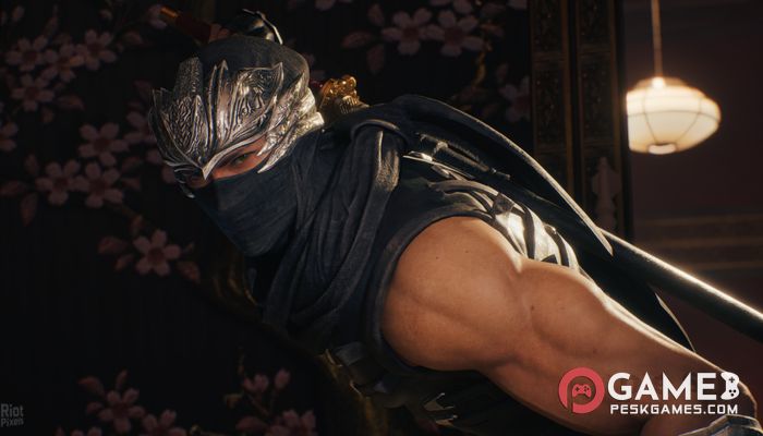 Download NINJA GAIDEN 2 Black Free Full Activated