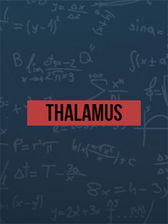 Thalamus