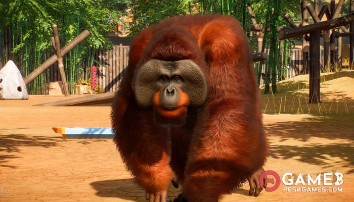 Descargar Planet Zoo: Completo Activado Gratis