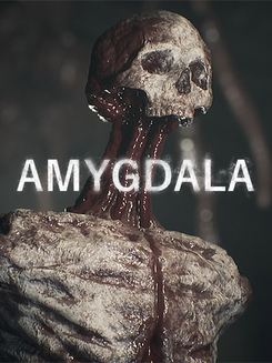 Amygdala