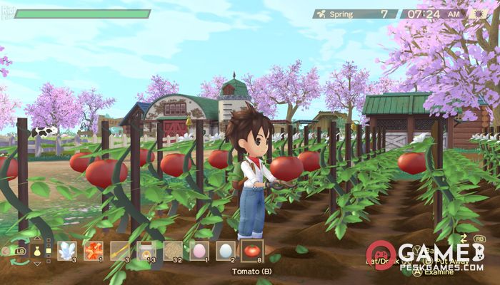 STORY OF SEASONS: A Wonderful Life Tam Sürüm Aktif Edilmiş Ücretsiz İndir