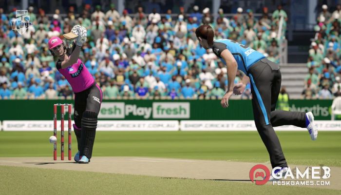 下载 Cricket 24 免费完整激活版