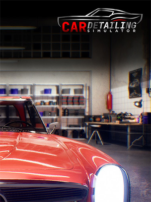 car-detailing-simulator_icon