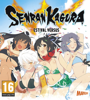 senran-kagura-estival-versus-13-dlcs_icon